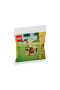 LEGO 30666 Creator 3 In 1 Gift Animals Polybag (75 Parça)