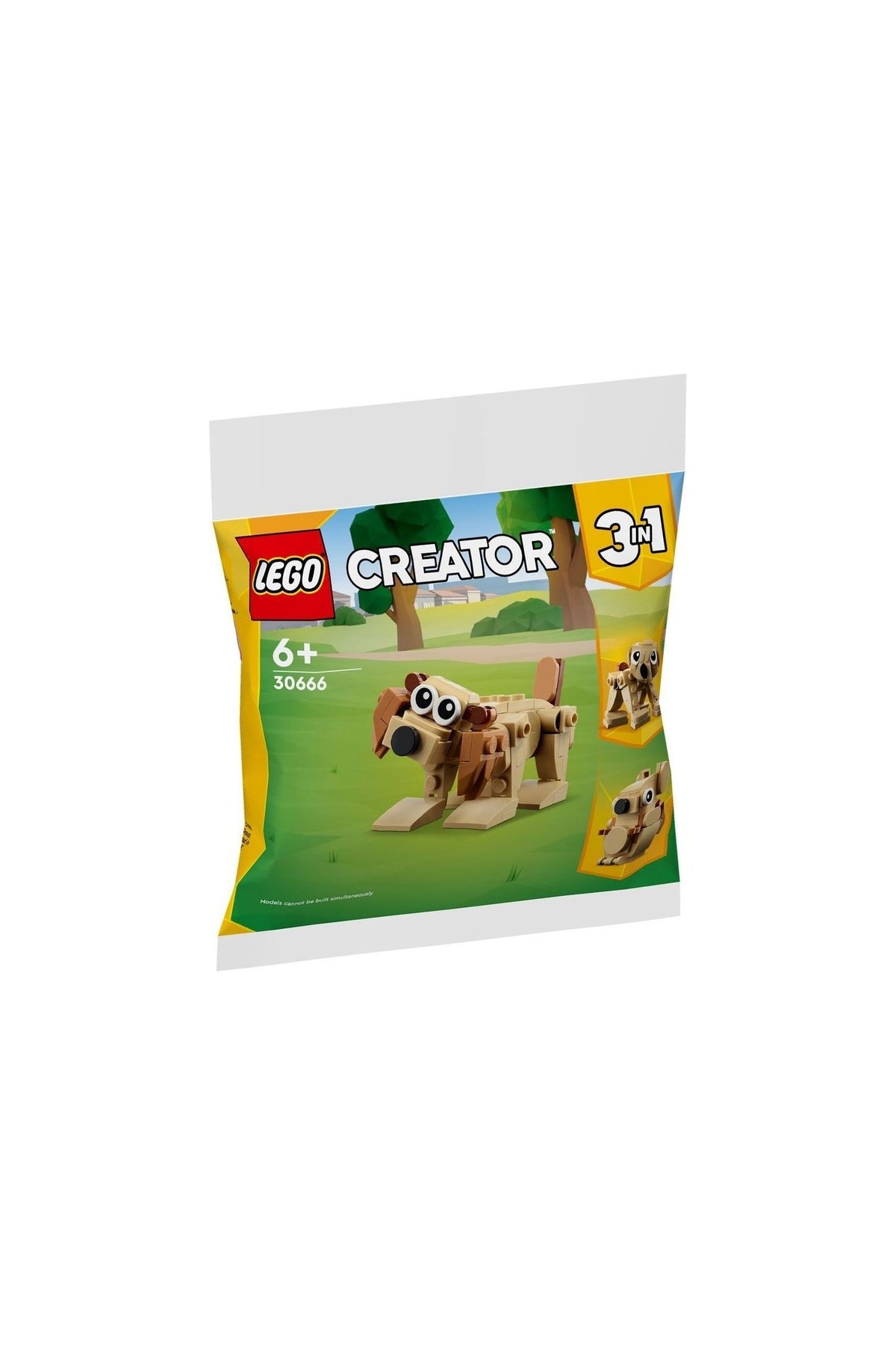 LEGO 30666 Creator 3 In 1 Gift Animals Polybag (75 Parça)