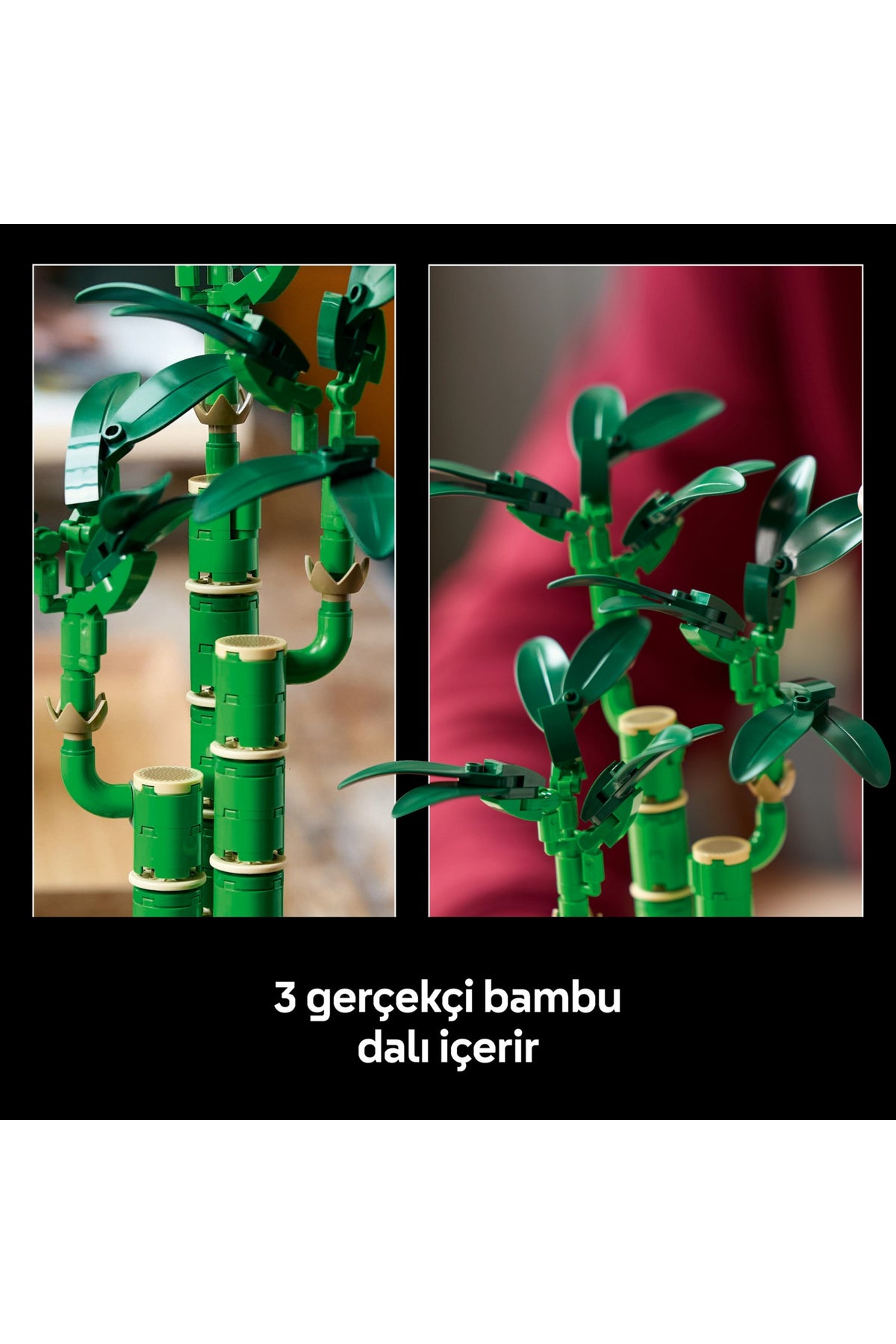 LEGO® Botanicals Şans Bambusu 10344 - Doğasever Yetişkinler için Dekoratif Bitki Yapım Seti (325 Parça)
