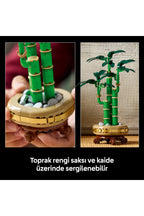 LEGO® Botanicals Şans Bambusu 10344 - Doğasever Yetişkinler için Dekoratif Bitki Yapım Seti (325 Parça)