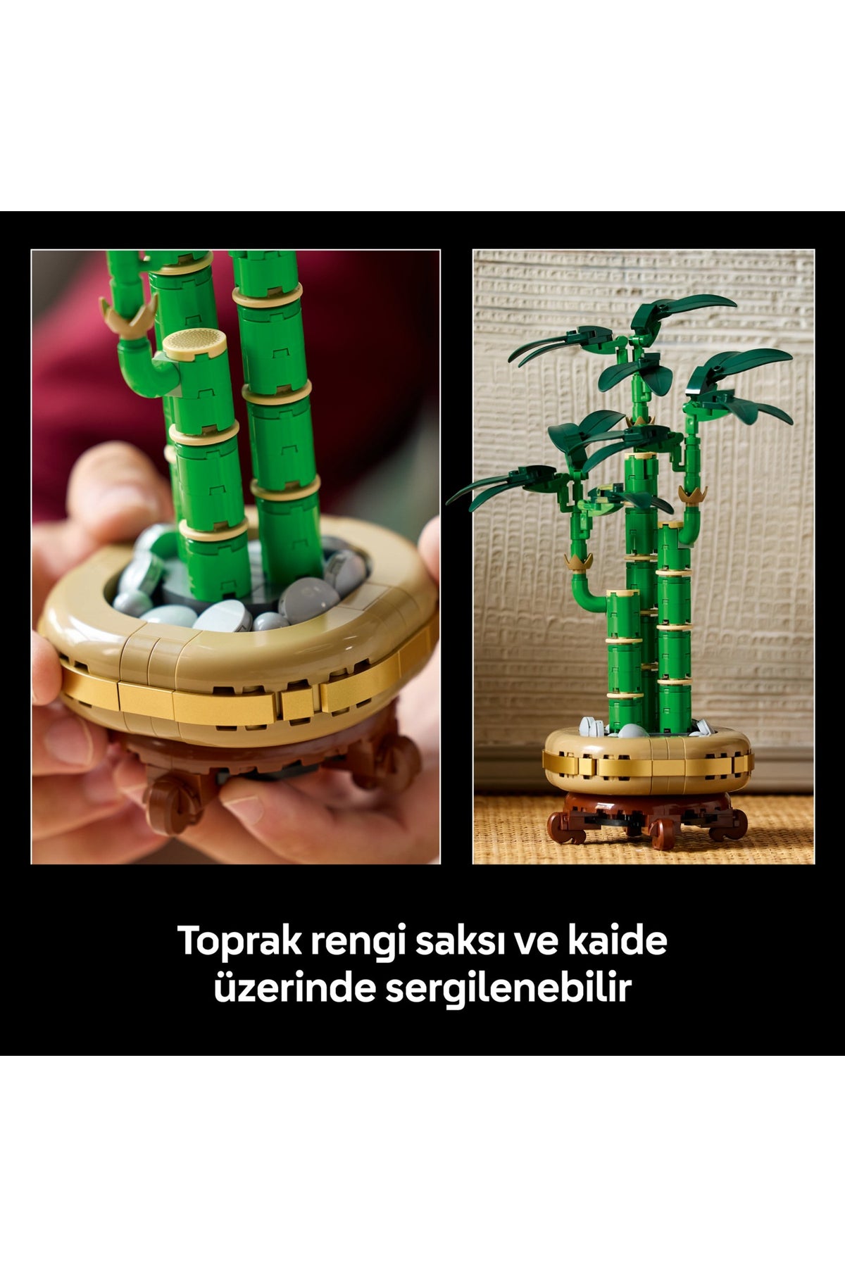 LEGO® Botanicals Şans Bambusu 10344 - Doğasever Yetişkinler için Dekoratif Bitki Yapım Seti (325 Parça)