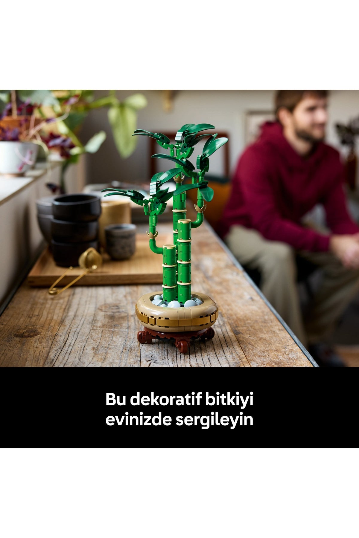 LEGO® Botanicals Şans Bambusu 10344 - Doğasever Yetişkinler için Dekoratif Bitki Yapım Seti (325 Parça)