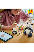 LEGO® Creator 3’ü 1 Arada Vahşi Hayvanlar: Panda Ailesi 31165 - 8+ için Orka veya Penguene Dönüşebilen Oyuncak Yapım Set
