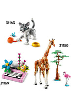 LEGO® Creator 3’ü 1 Arada Vahşi Hayvanlar: Panda Ailesi 31165 - 8+ için Orka veya Penguene Dönüşebilen Oyuncak Yapım Set