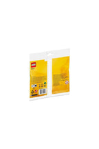 LEGO Creator 30645 Kardan Adam Polybag 78 Parça Eğlenceli Oyun Seti