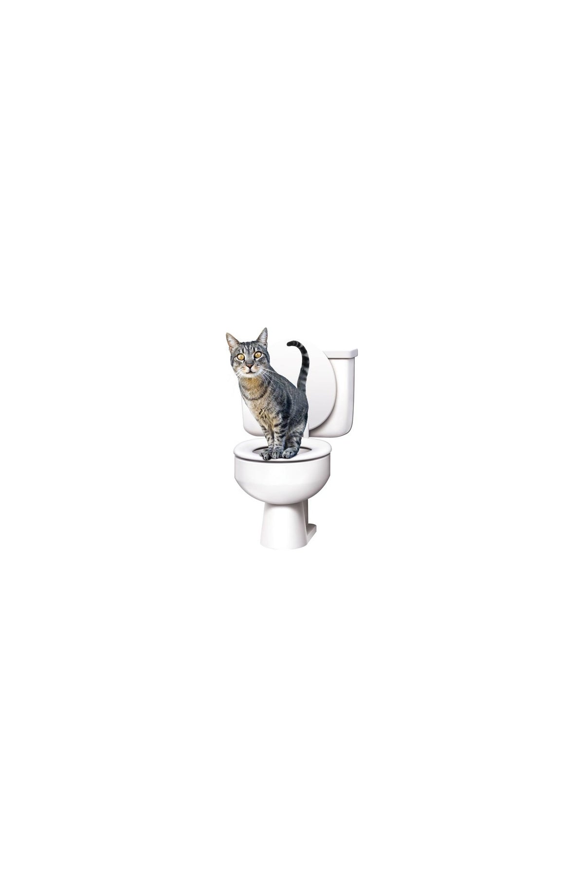 Pratik Citikitty - Kedi Klozet Eğitim Seti