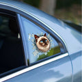Fulcar Siamesse Araç Stickerı