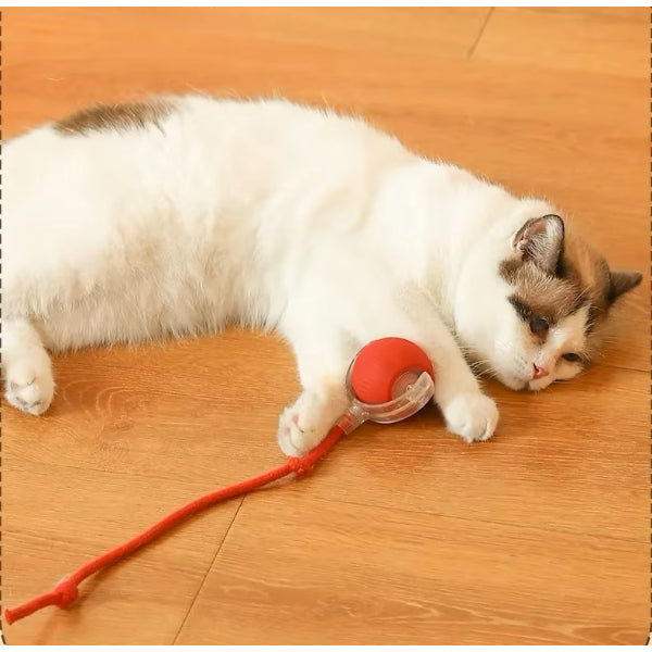 Şarjlı Kedi Oyuncağı