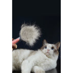 Otomatik Tuşlu Kendini Temizleyen Kedi Köpek Tarağı